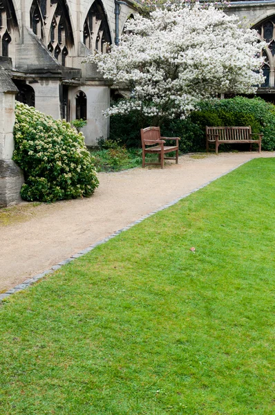 Jardín en la Catedral de Gloucester — Foto de Stock