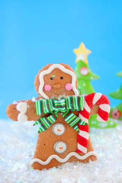 Gingerbread homem inverno — Fotografia de Stock