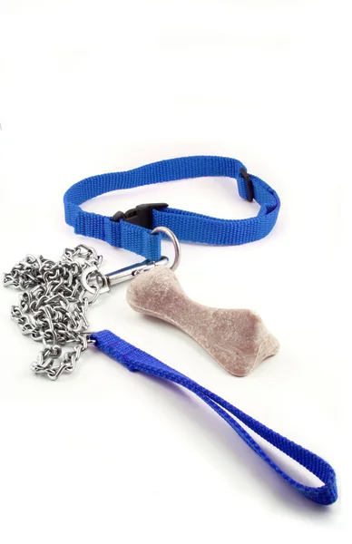 Dog leash and bone — Stock Photo, Image