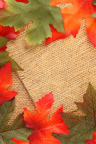 Fall background — Stock Photo, Image
