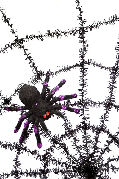 Teia de aranha negra — Fotografia de Stock