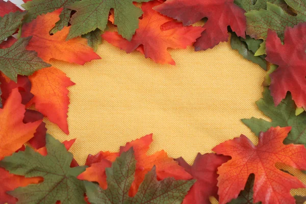 Autumn leaf background — Stock Photo, Image