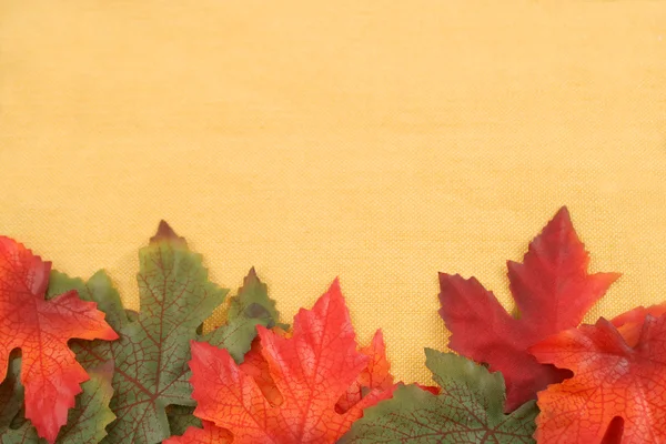 Sonbahar yaprak arka plan — Stok fotoğraf