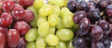 Grapes banner clipart