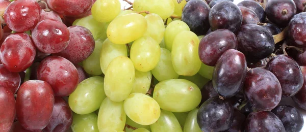 Grapes banner — Stock Photo, Image