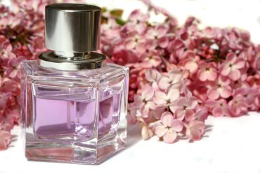 Lilac perfume clipart
