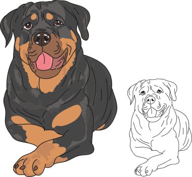 Rottweiler clipart