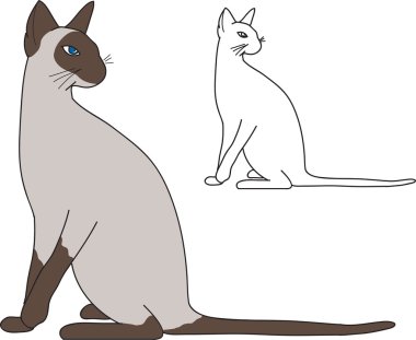 Siamese cat clipart