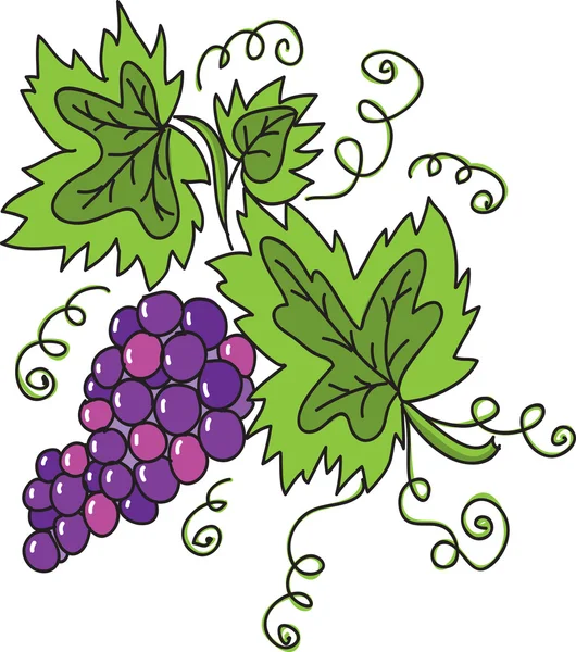 stock vector Grape vector