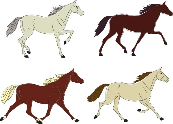 Vier Pferde — Stockvektor