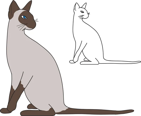 Сиамская кошка — стоковый вектор
