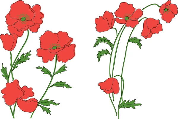 Poppy flowers — Stock Vector
