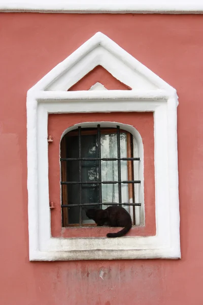Gatto nero seduto vicino a una finestra — Foto Stock