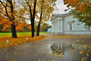 Saint-Petersburg. Autumn on Elagin island clipart