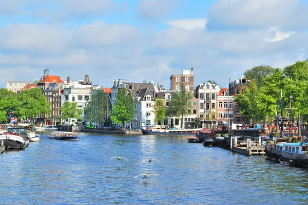 Amsterdam v slunečný letní den — Stock fotografie