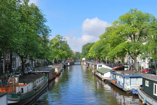 Amsterdam. Prinsengracht kanalı — Stok fotoğraf