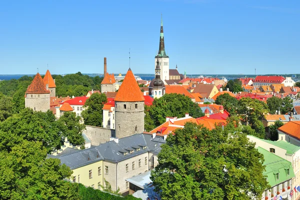Tallinn eski kasaba — Stok fotoğraf