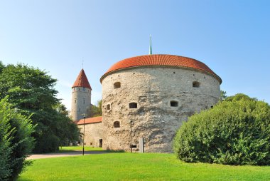 Tallinn. Fat Margaret Tower clipart