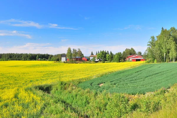Finlandia en verano —  Fotos de Stock