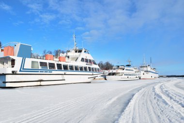 Finlandiya. Lappeenranta cenneti