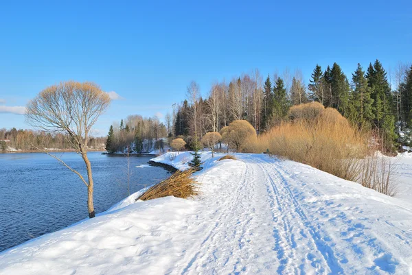 Finlandiya bahar doğa — Stok fotoğraf