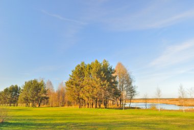 Baharda güzel bir park