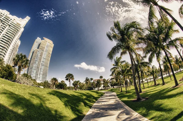 Pasarela en un hermoso parque — Foto de Stock