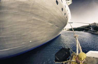 cruise ship den göster