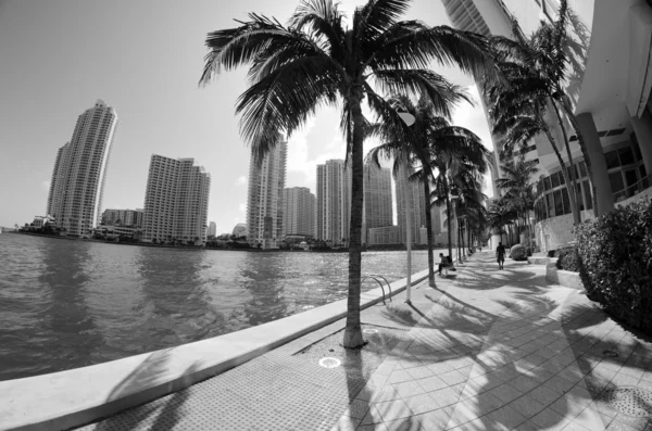 Chopin Plaza, Miami részlete — Stock Fotó