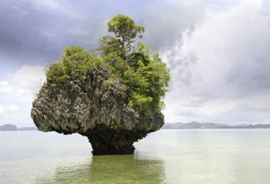 Tayland bitki örtüsü ve okyanus renkler