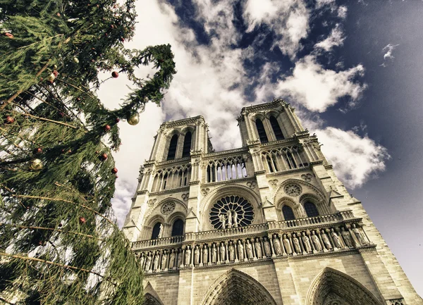Кольори собору Паризької Богоматері, Париж — стокове фото