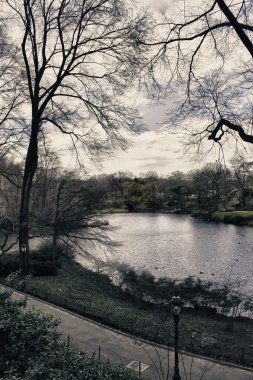 Central park ve new york city kış