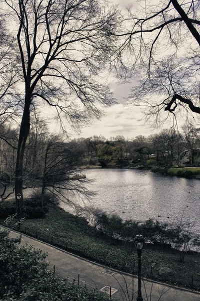 Центральный парк Нью-Йорка зимой — стоковое фото