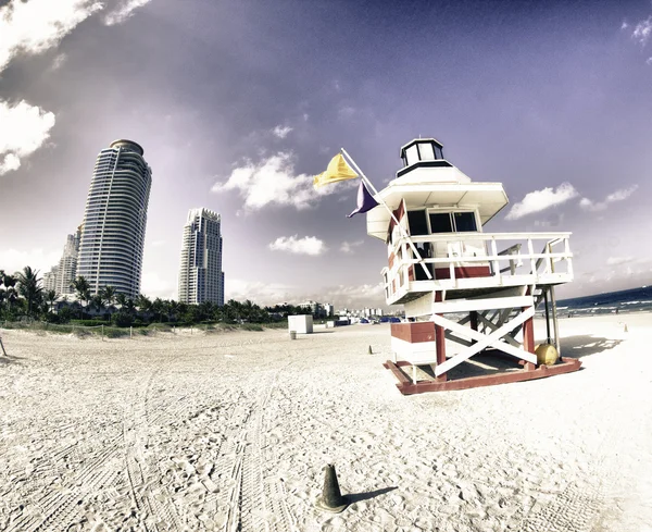 stock image South Pointe Park in Miami Beach, Florida