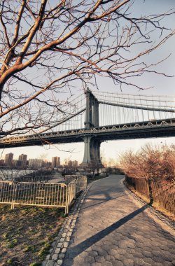 Manhattan Köprüsü ayrıntı ağacı, new york city