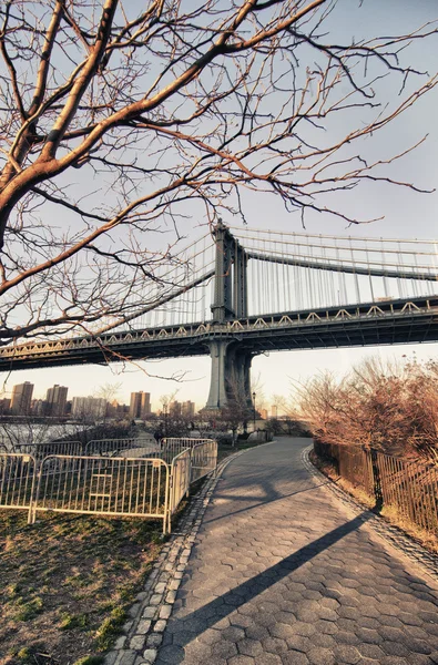 Manhattan bridge szczegółowo z drzewa, Nowy Jork — Zdjęcie stockowe