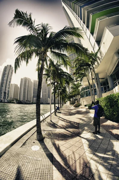 Miami skyskrapor nära bayfront park — Stockfoto
