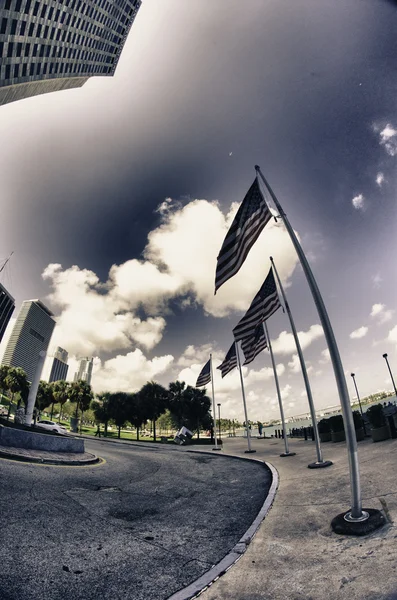 Miami wolkenkrabbers in de buurt van bayfront park — Stok fotoğraf