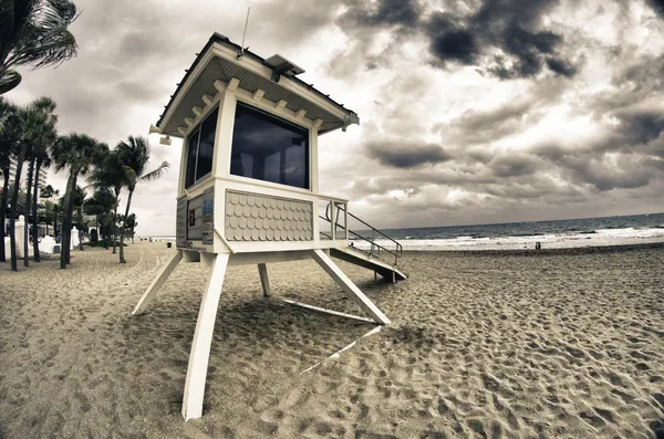 해변의 포트 로더 데 일, 플로리다 — 스톡 사진
