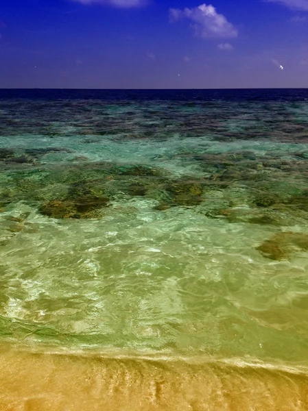 몰디브 바다의 색상 — 스톡 사진