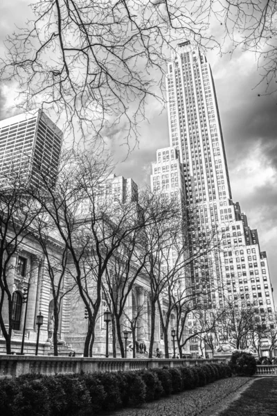纽约公立图书馆和周围摩天大楼 — 图库照片