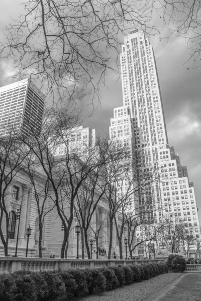 New Yorker Stadtbibliothek und umliegende Wolkenkratzer — Stockfoto