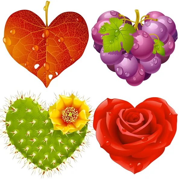 Forma del corazón conjunto 3. Hoja de otoño, uvas, cactus y rosa — Vector de stock