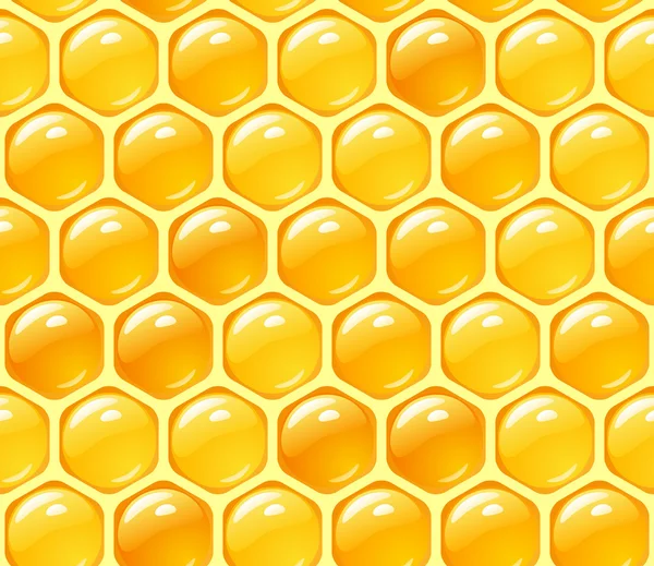 Vektor honung bakgrund — Stock vektor