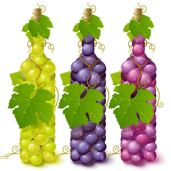 Vine grape bottles — Stock Vector