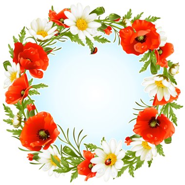 Vector camomile and poppy frame in the shape of circle clipart