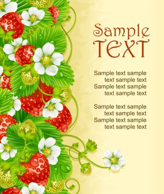 Vector strawberry frame. Red berry and white flower clipart