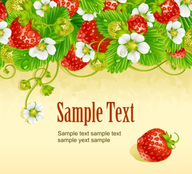 Vector strawberry frame. Red berry and white flower clipart