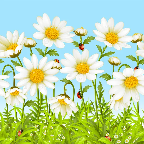Flor blanca y hierba verde — Vector de stock