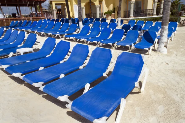Filas de sillas azules — Foto de Stock